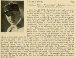York Walter Raymond